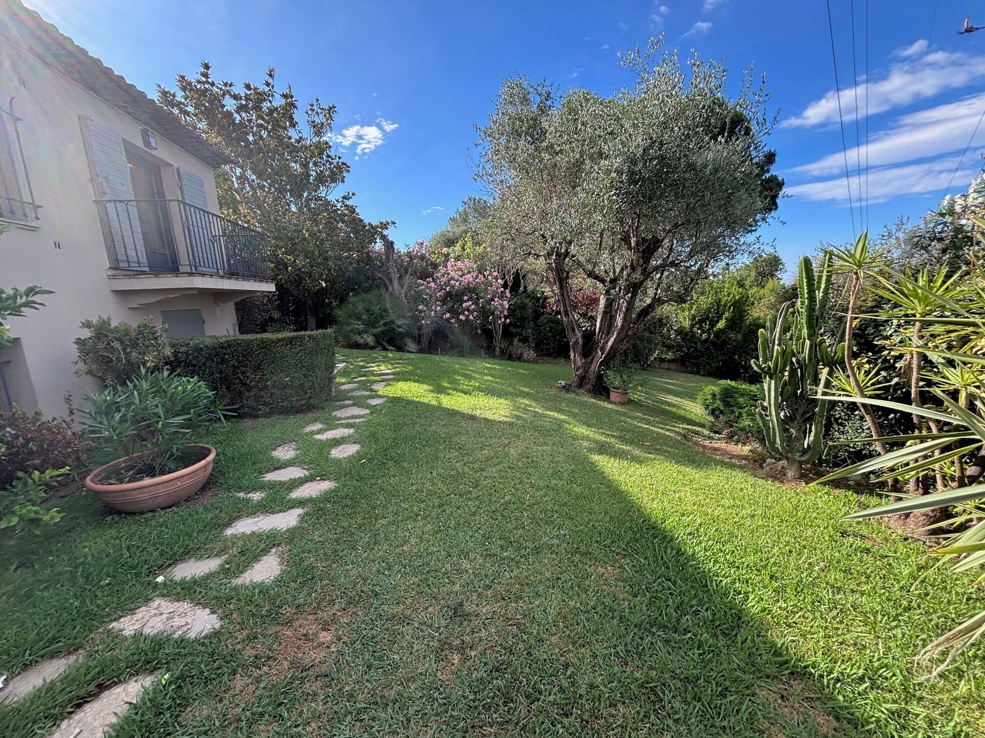 A well-maintained garden with a paved path, various plants, and a building with a balcony.