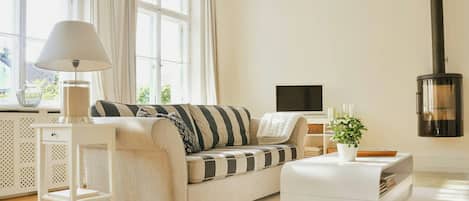 TV, fireplace