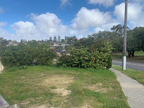 A grassy area with a paved path, a bush with red flowers, and a utility pole.