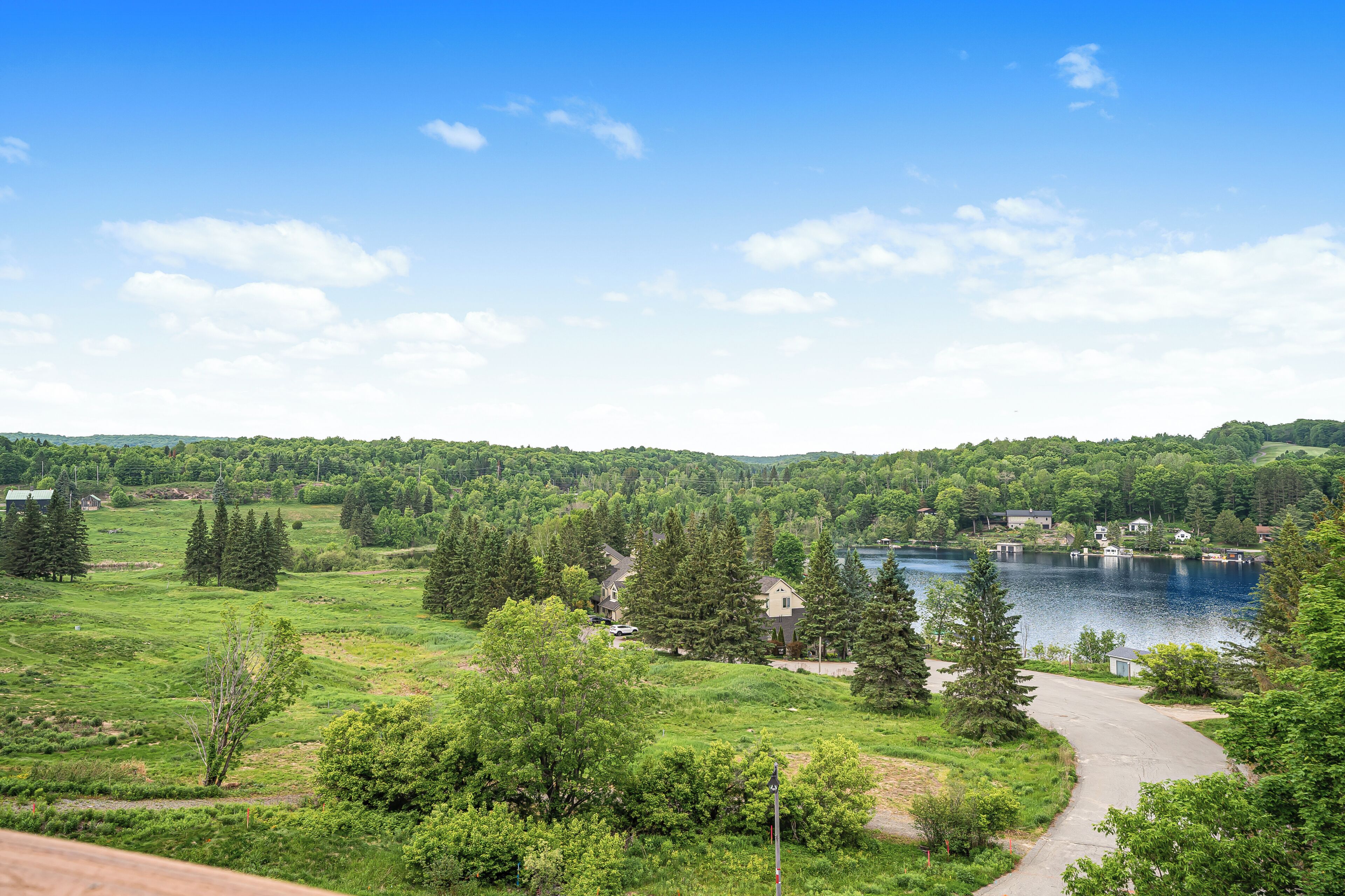 A lakeside view with a pathway leading to a house surrounded by greenery.