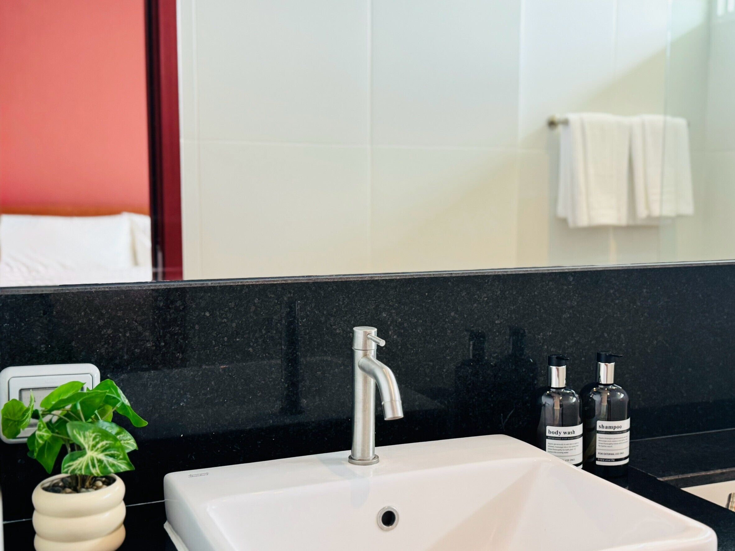Ein Badezimmer mit einem weißen Waschbecken, einem modernen Wasserhahn, einer Topfpflanze und zwei Shampoo-Flaschen.