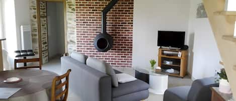 Televisión, chimenea, reproductor de DVD