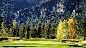 Un campo de golf con una bandera, rodeado de un bosque denso y montañas.