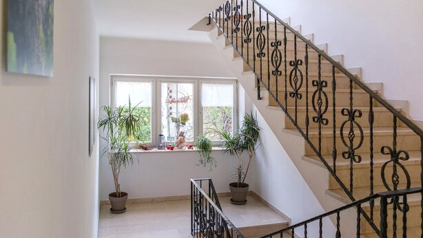 Una escalera con barandillas negras decorativas, una ventana con plantas en macetas y vistas al verdor exterior.