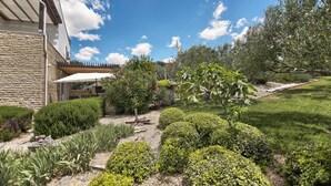 Un jardin avec différentes espèces de plantes et un espace barbecue.