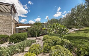 Ein Garten mit unterschiedlichen Pflanzen und einem Grillplatz.