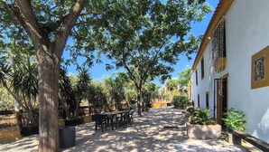A courtyard with a gravel path, benches, and potted plants. - Beautiful home in Puente Genil (Puente Genil)