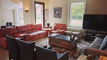 TV, fireplace, table tennis