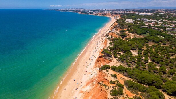 Vista aérea de una zona costera con playa, edificios y vegetación.