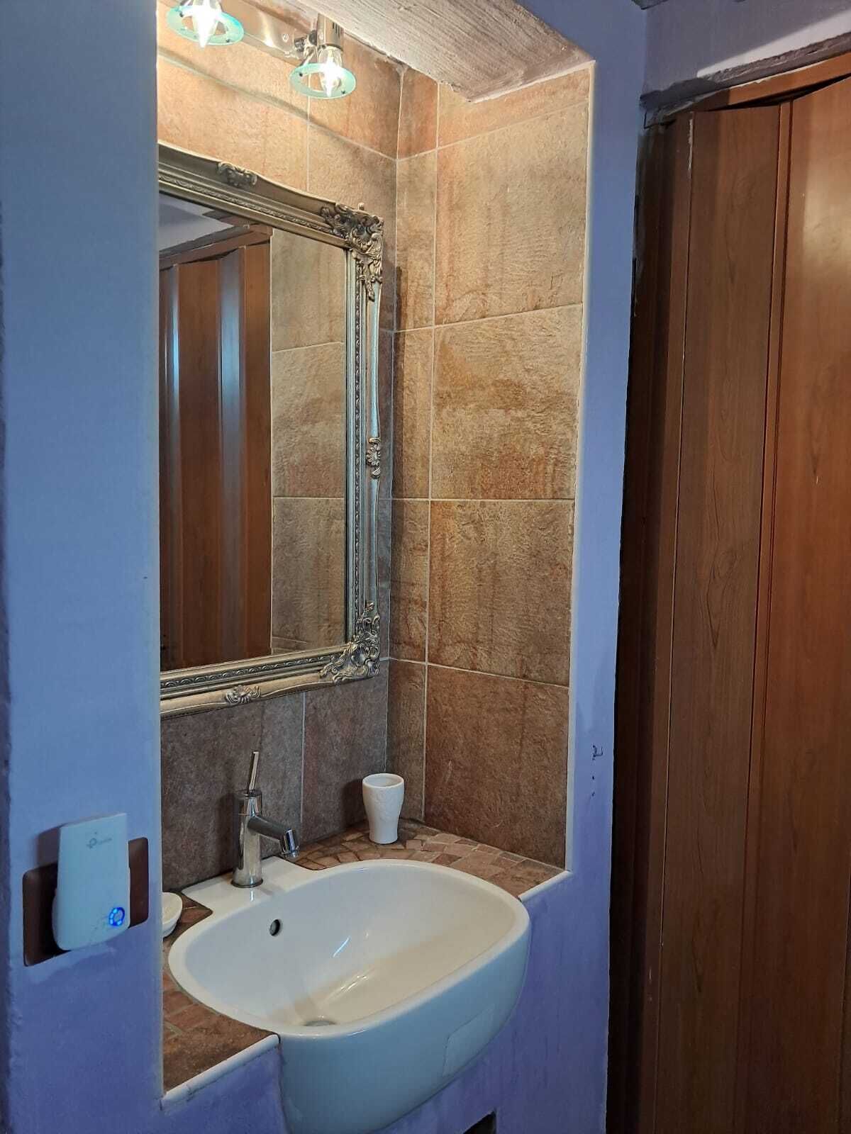 Une salle de bain avec un grand miroir, un lavabo et une porte en bois.