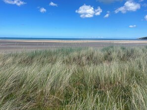 Ein Strand mit hohem Gras im Vordergrund und einem klaren, blauen Himmel.