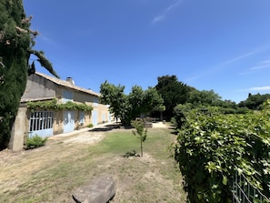 Une maison avec un jardin, un petit arbre et un chemin de pierres.
