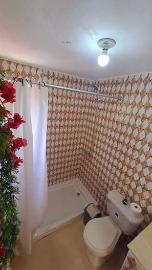 Toalhas de banho, papel higiênico