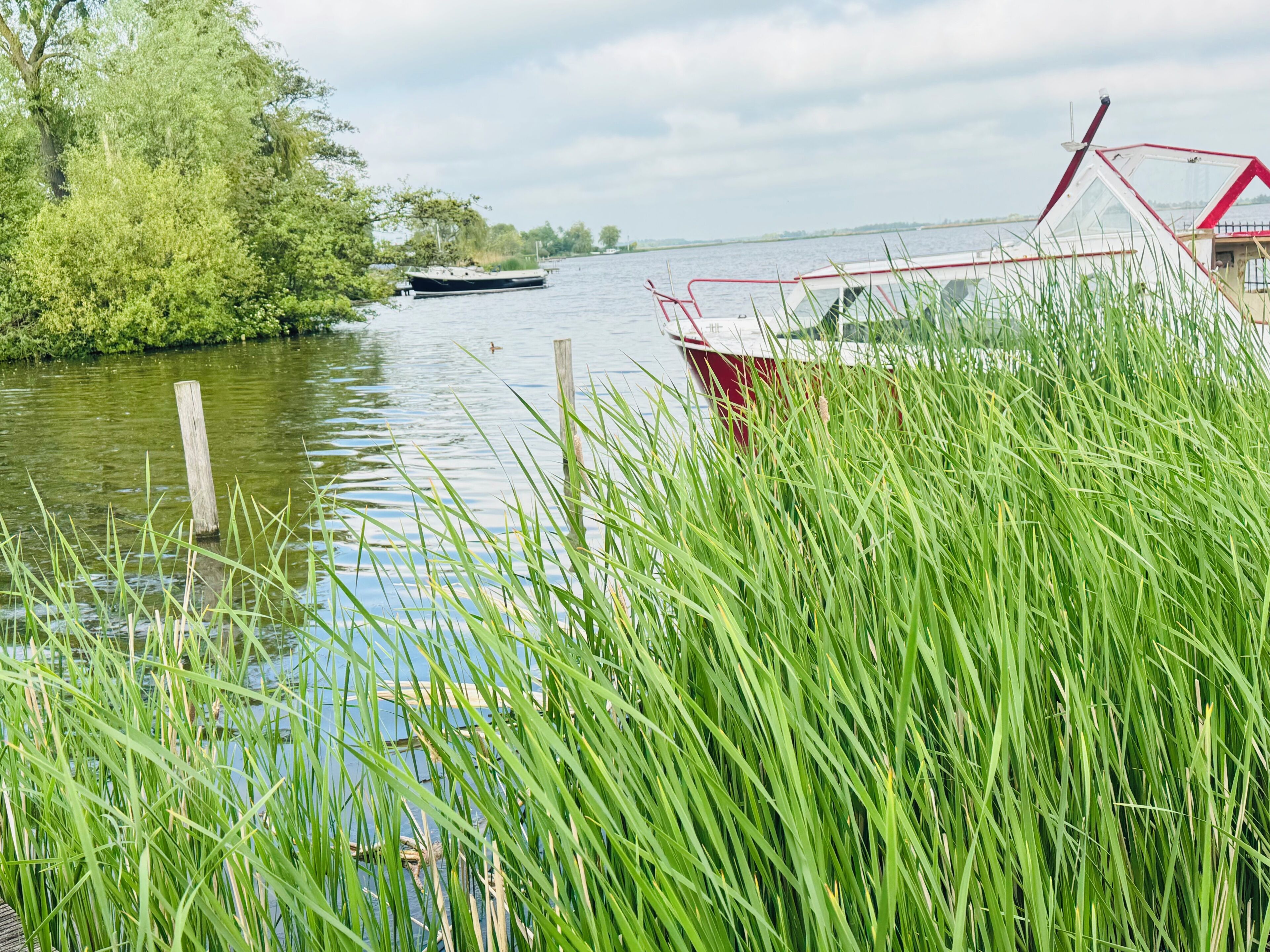 Ein ruhiger Fluss mit einem angedockten Boot auf der linken Seite, ein rot-weißes Gebäude auf der rechten Seite und üppiges Grün im Vordergrund.