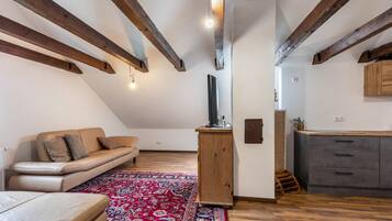 Fernseher
