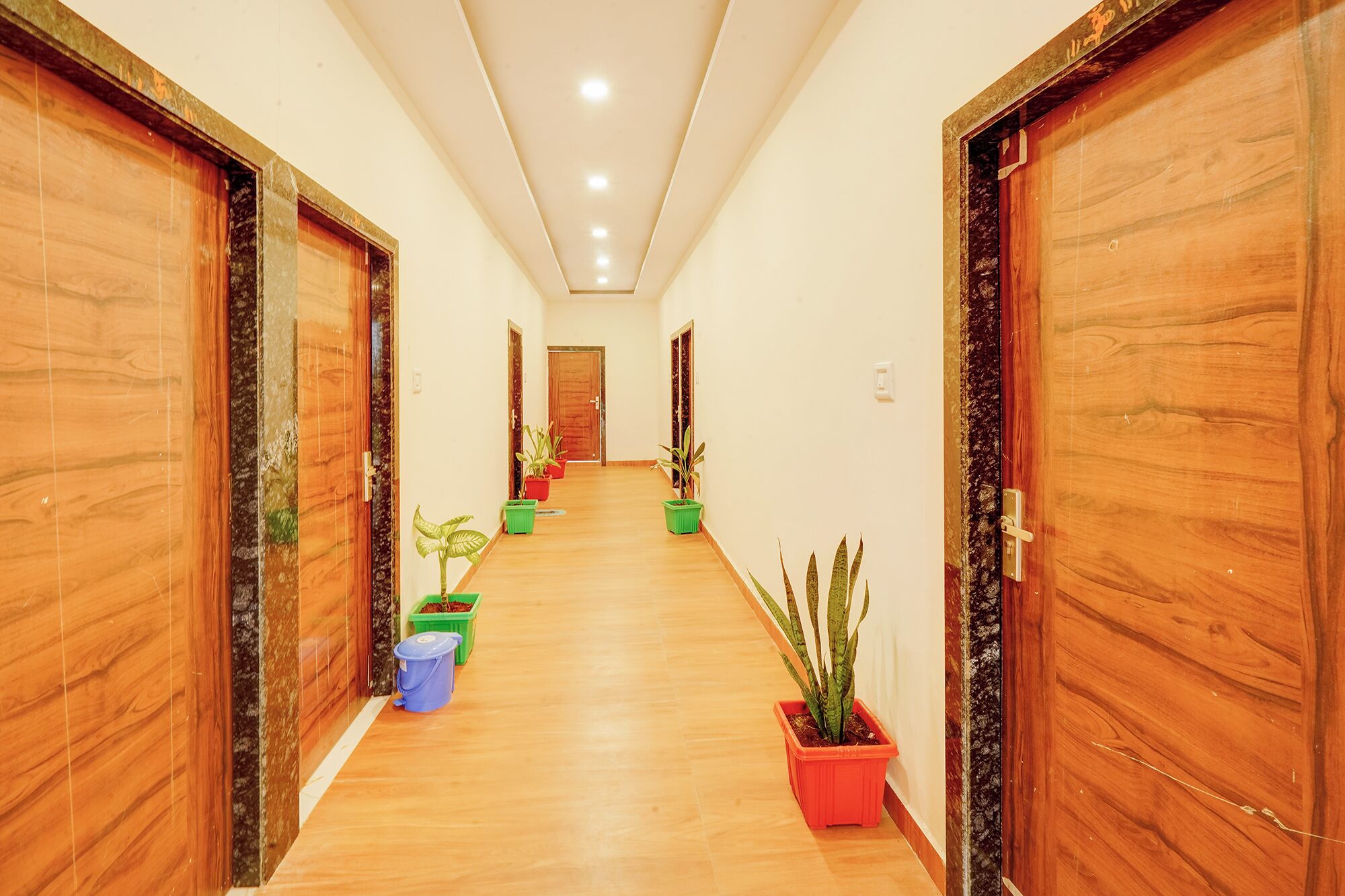Un pasillo con puertas de madera, plantas en macetas y piso de baldosas.