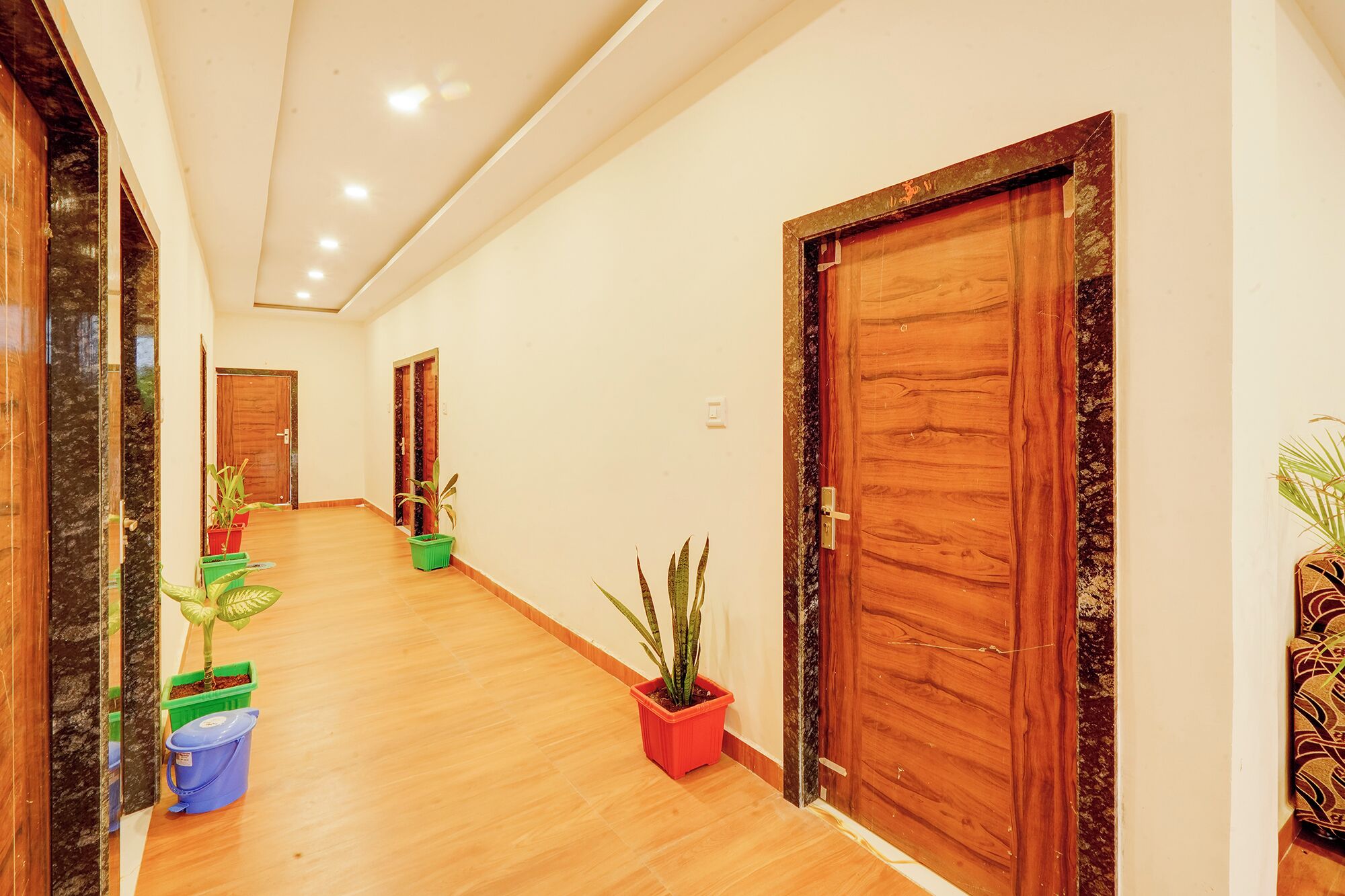 Un pasillo con puertas de madera, plantas en macetas y un regador azul.