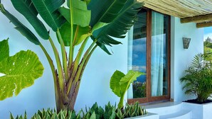 A modern house with a large banana tree, a white exterior, and a wooden pergola. - Boho Villa in Firgas | Pool, Nature, BBQ, and Ocean Views (CN)