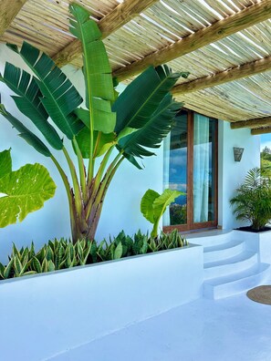Ein modernes Haus mit einer großen Bananenpflanze, heller Fassade und einer Holzpergola.