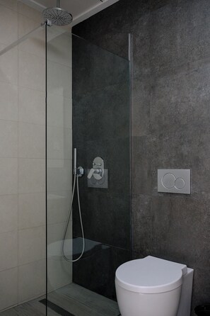 Assecador de cabells, bidet, sabó i paper higiènic 