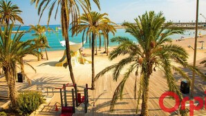 Een strand met palmbomen, een houten terras en uitzicht op zee.