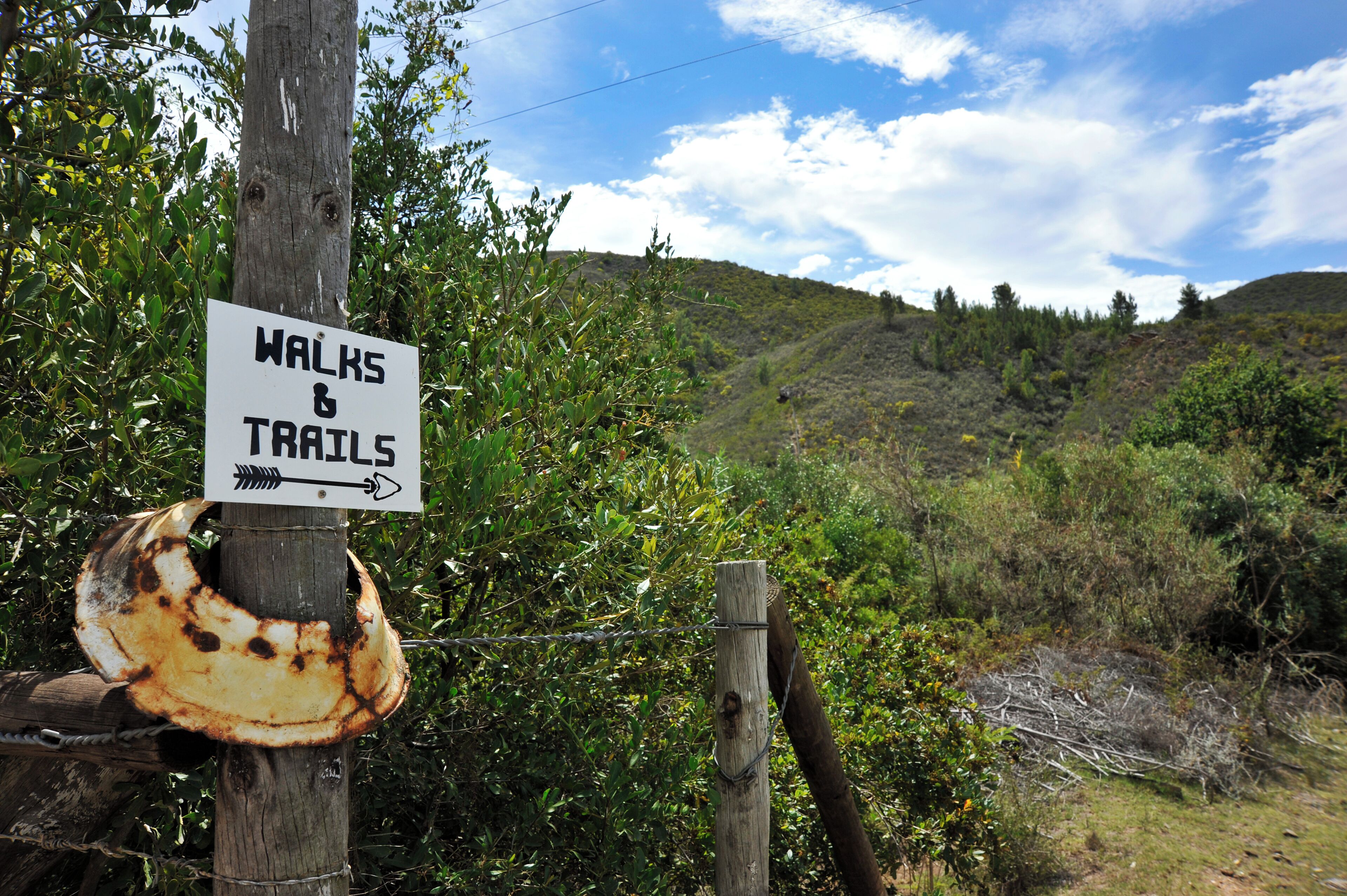 A sign for walks and trails with a rustic wooden post and a rusty metal object.