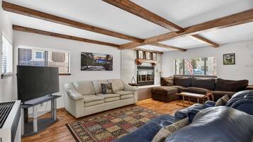 Smart TV, fireplace, books