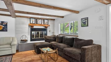 Smart TV, fireplace, books