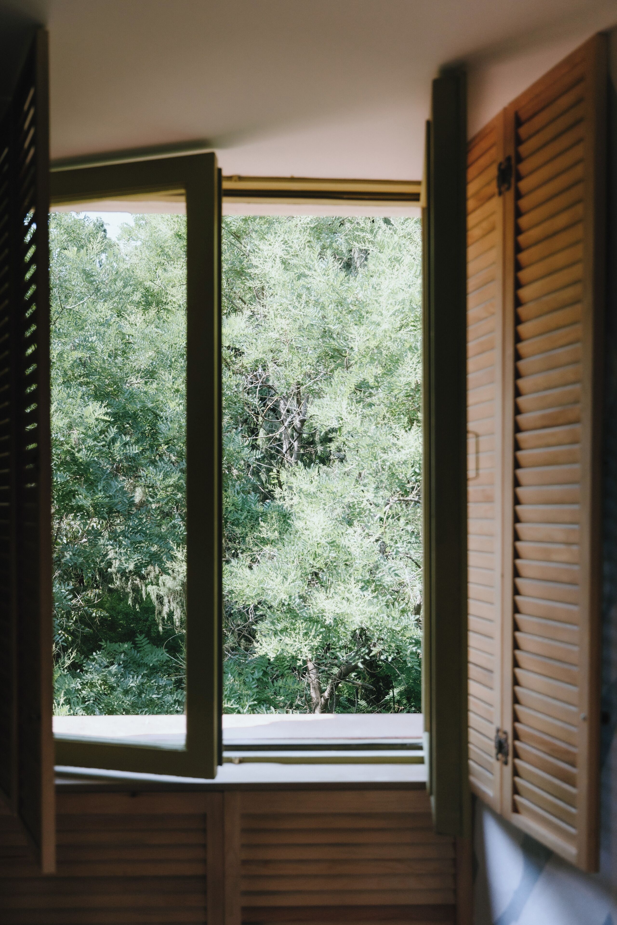 An open window with a view of dense green foliage.
