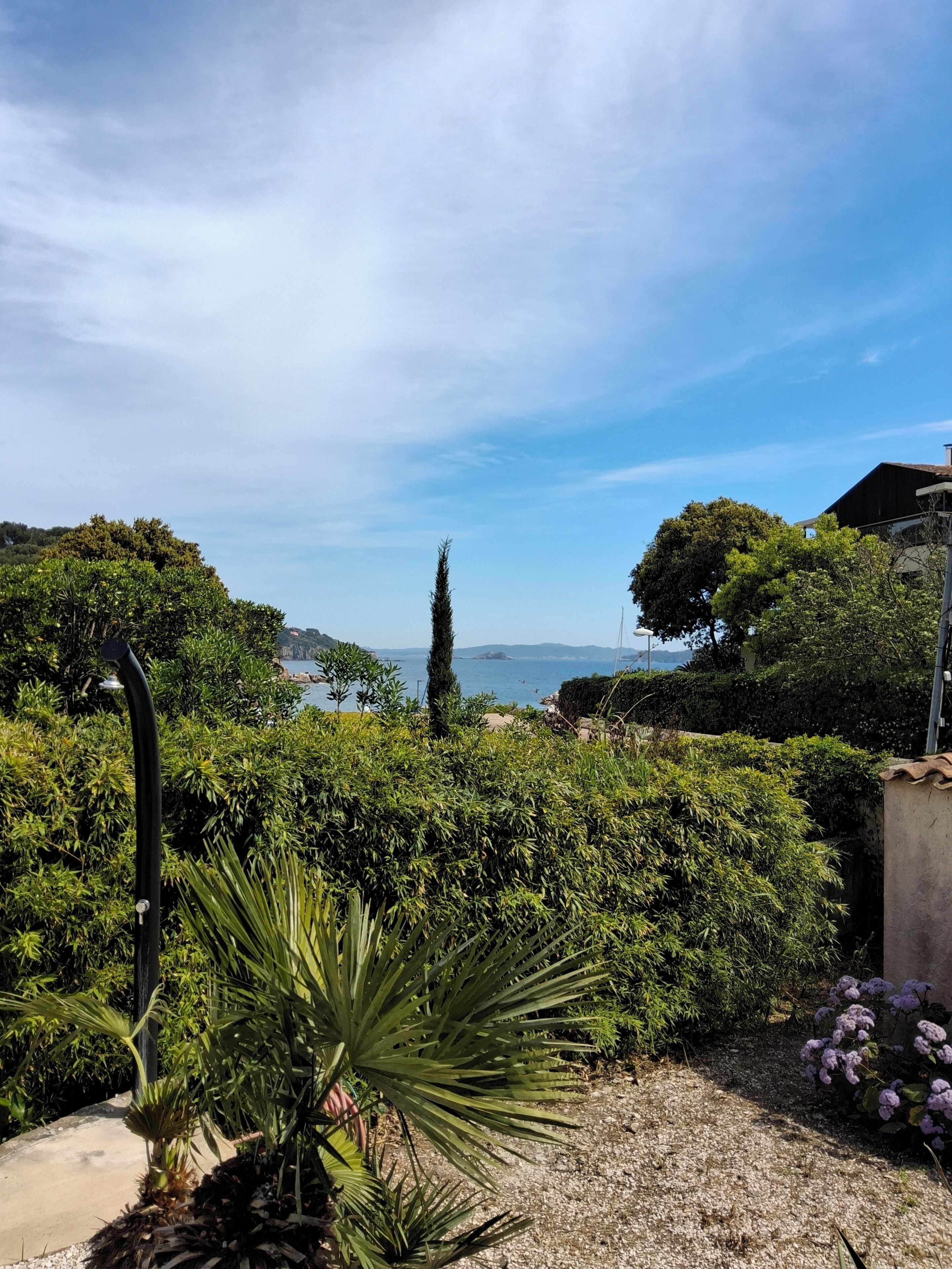 Um jardim com diversas plantas, um caminho e vista para o mar.