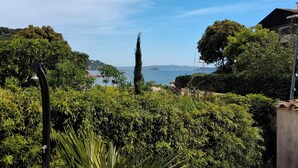 Un giardino con diverse piante, un vialetto e vista sul mare.