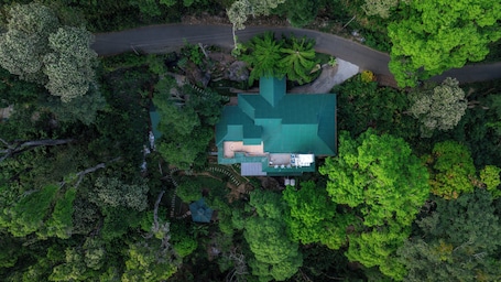 An aerial view of a house surrounded by dense greenery, with a visible driveway and a large tree to the right.
