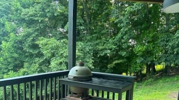 Una terrazza coperta all'aperto con barbecue, ringhiera in legno e vista su una zona boschiva.