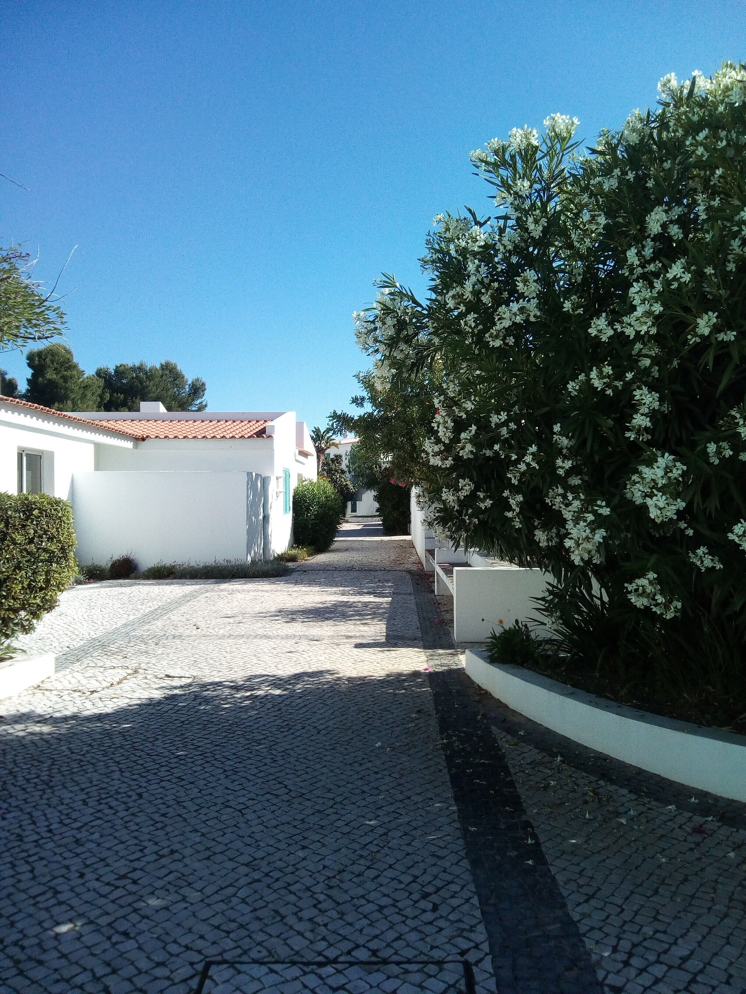 Área da propriedade