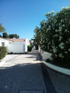Área da propriedade