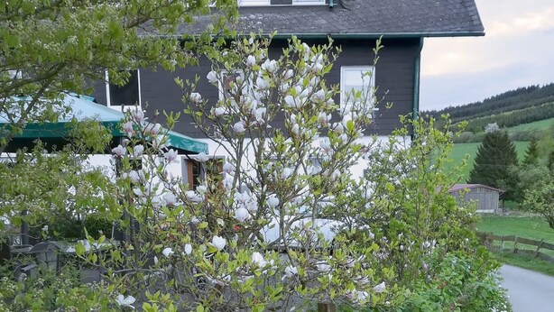 A house with a dark roof, white windows, and a garden with blooming trees. - Wiebelhaus-Mester Farm Guesthouse – Schwalbennest Holiday Apartment (Lennestadt)