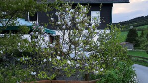 A house with a dark roof, white windows, and a garden with blooming white flowers.