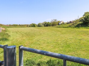 Ein grünes Feld mit einem Metallzaun im Vordergrund.