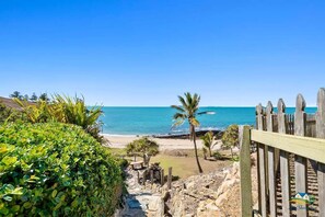 A coastal view with a wooden fence, a palm tree, and a clear blue sky.