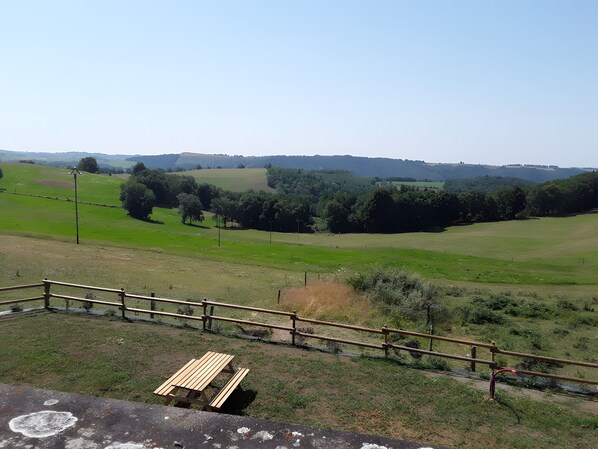 Ländliche Landschaft mit einer Holzbank, einem Zaun und einem wolkenlosen Himmel.