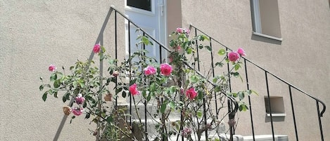 Detalle exterior