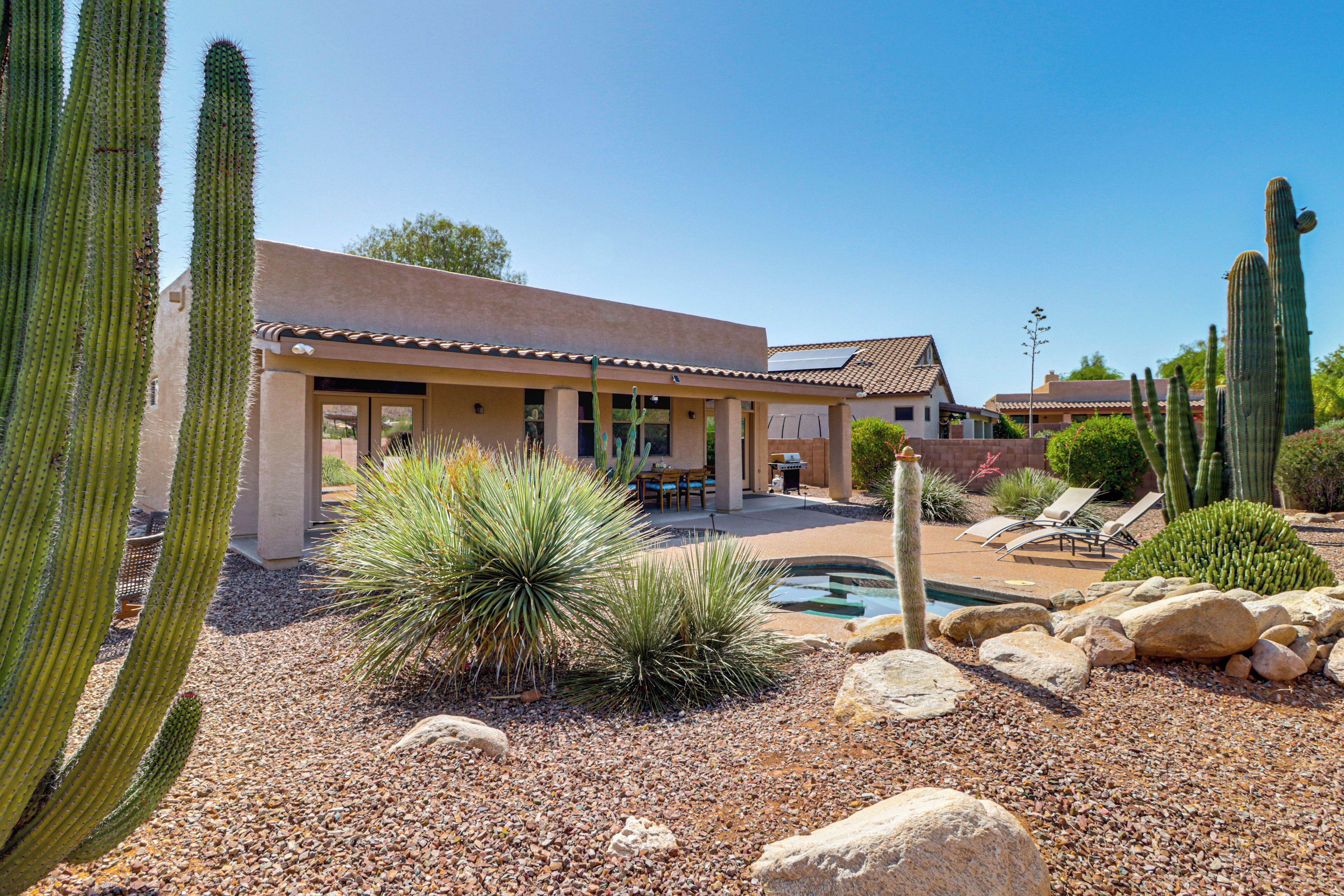 A desert-style building with a patio, cacti, and a pool.