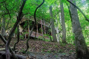 Eine Holztreppe führt zu einem Gebäude, das von dichtem Wald umgeben ist.