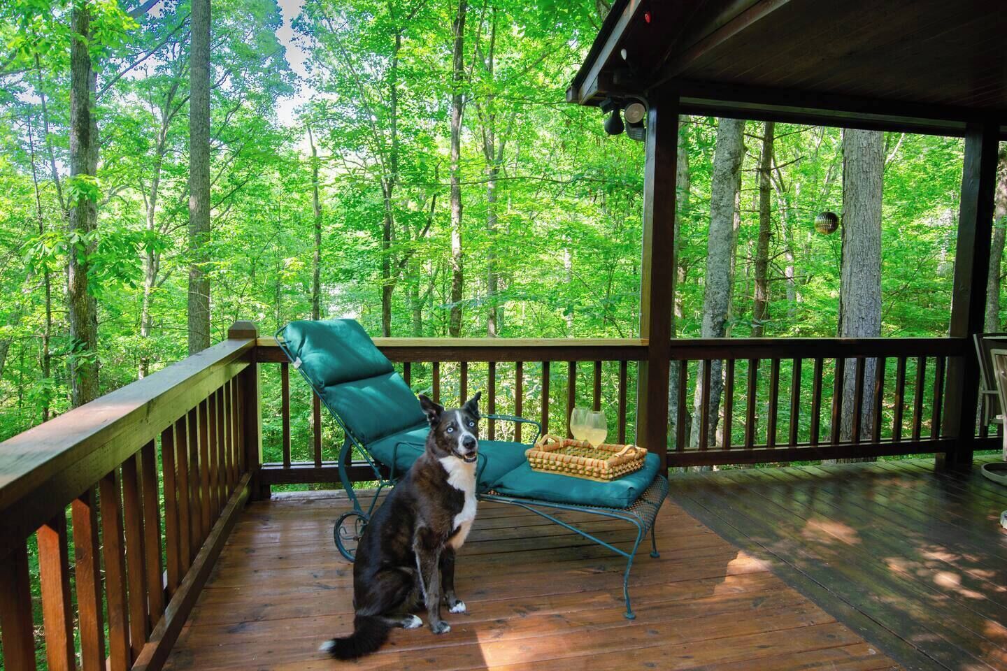 Una terraza de madera con una silla verde y una cesta, rodeada de bosque.