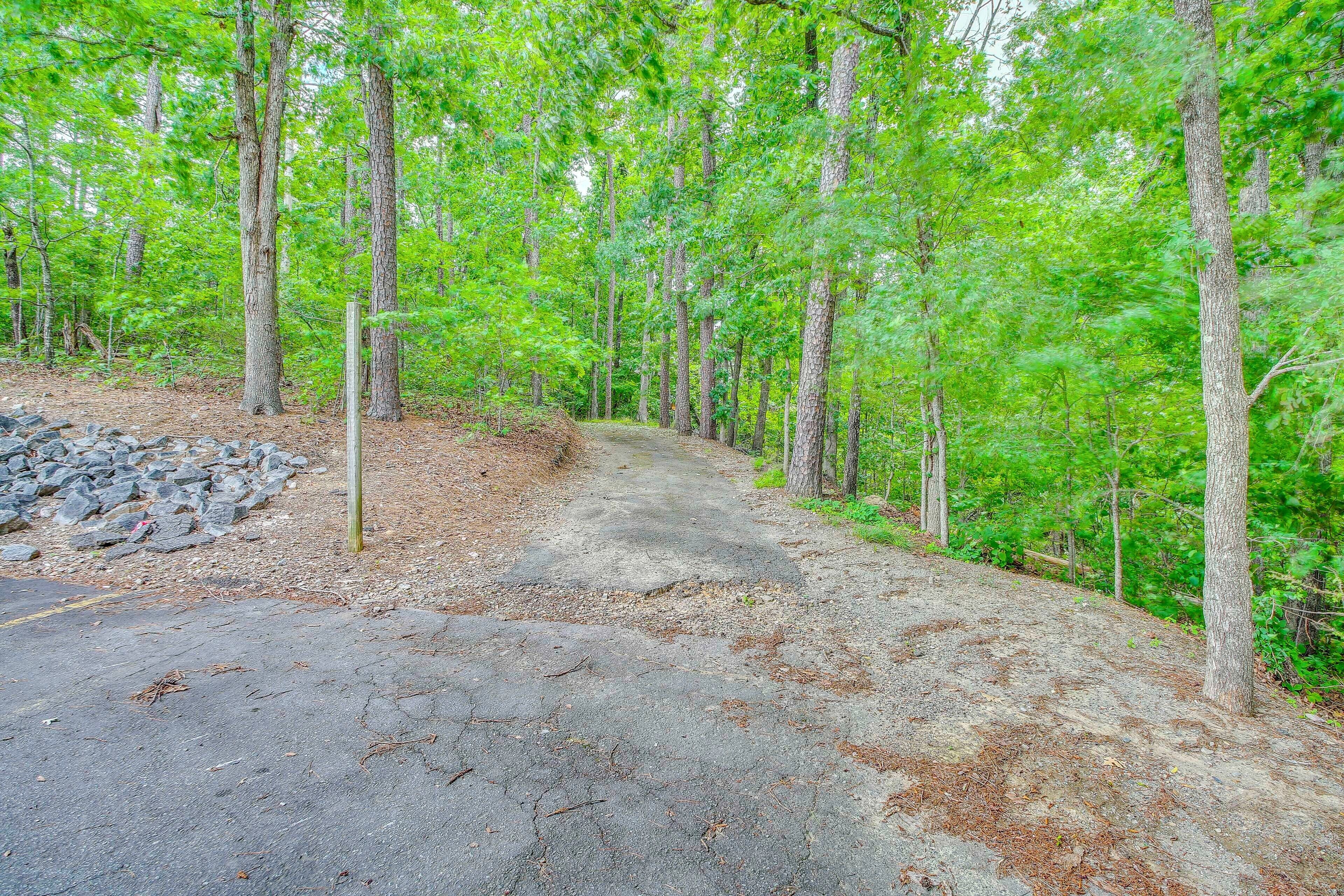 A forested area with a paved path leading through it.