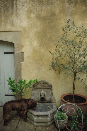 Detalle del exterior