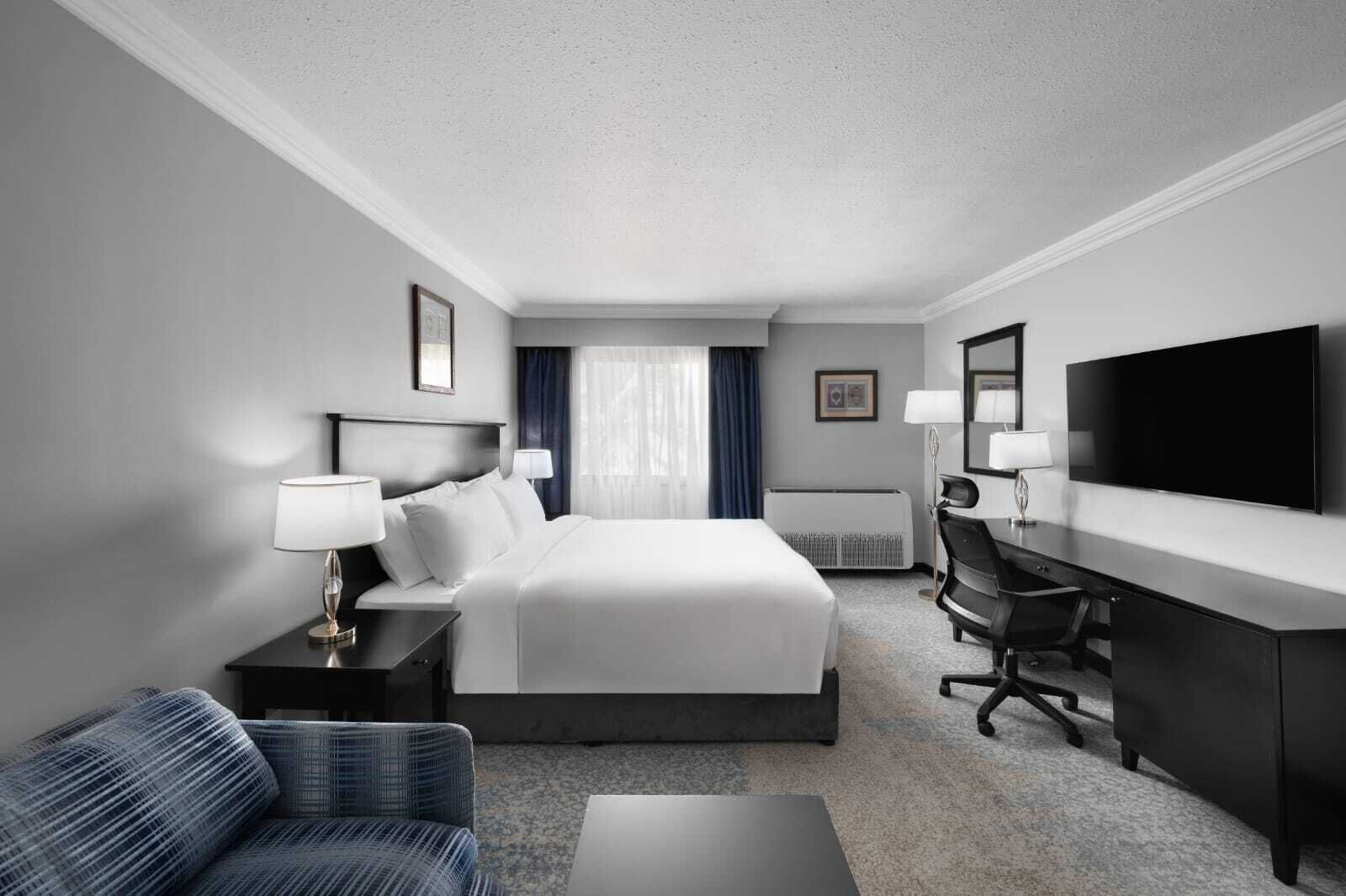 Standard Single Room, City View | In-room safe, desk, laptop workspace, blackout curtains