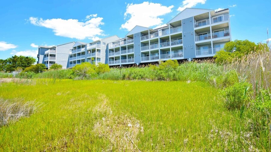 Oasis On The Bay 310 4 Bedroom Condo