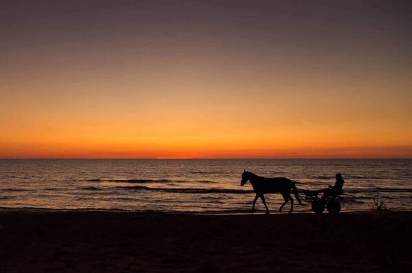 Eine Silhouette eines Reiters auf einem Pferd am Strand bei Sonnenuntergang.