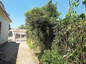 Um beco estreito com um edifício à esquerda e vegetação densa à direita.